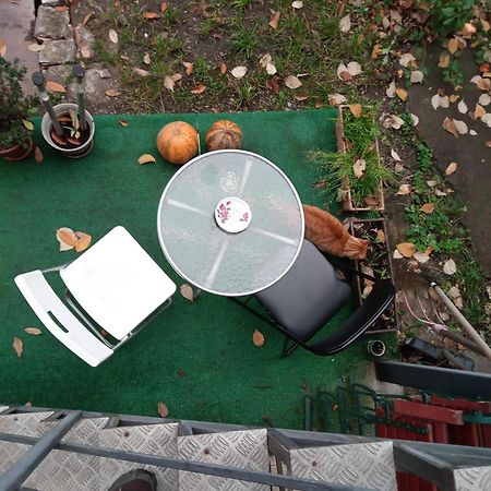 Apartament Cu Un Dormitor Spatios In Centrul 克卢日-纳波卡 外观 照片