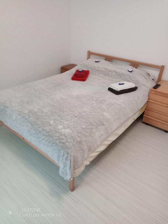 Apartament Cu Un Dormitor Spatios In Centrul 克卢日-纳波卡 外观 照片
