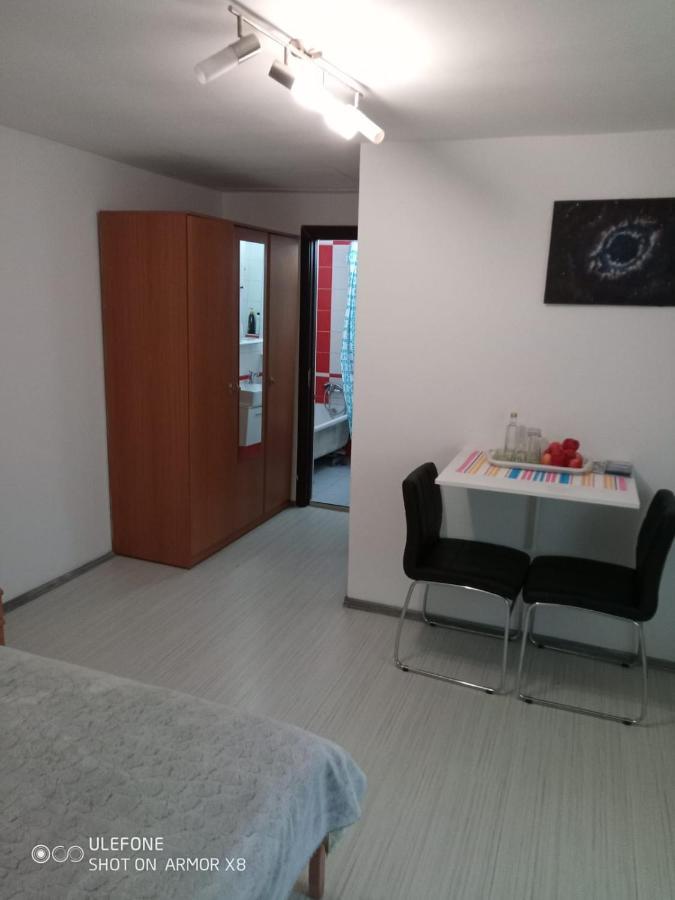 Apartament Cu Un Dormitor Spatios In Centrul 克卢日-纳波卡 外观 照片