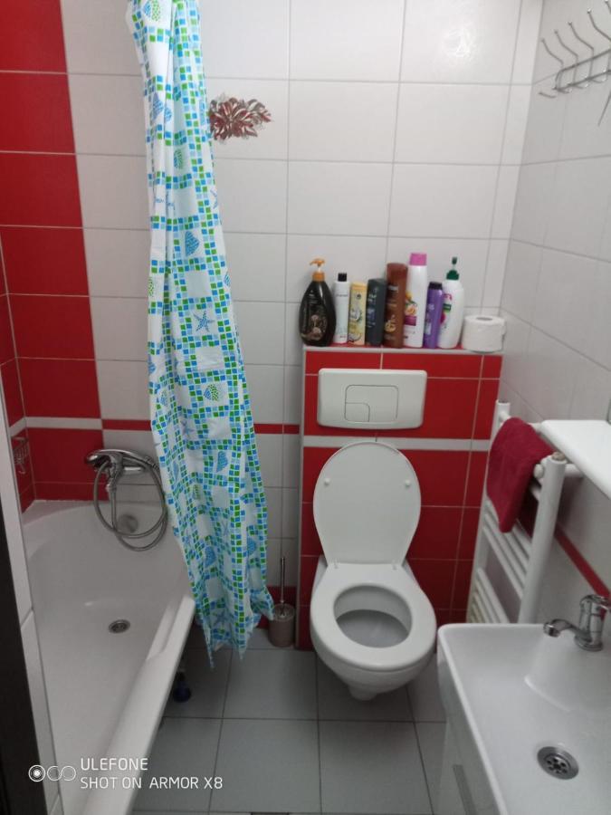 Apartament Cu Un Dormitor Spatios In Centrul 克卢日-纳波卡 外观 照片