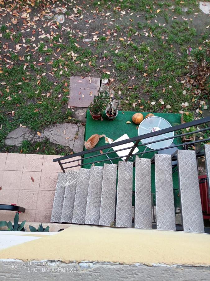 Apartament Cu Un Dormitor Spatios In Centrul 克卢日-纳波卡 外观 照片