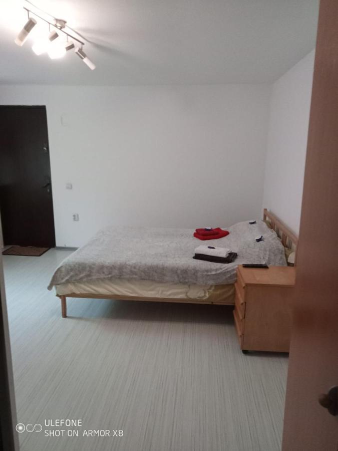 Apartament Cu Un Dormitor Spatios In Centrul 克卢日-纳波卡 外观 照片
