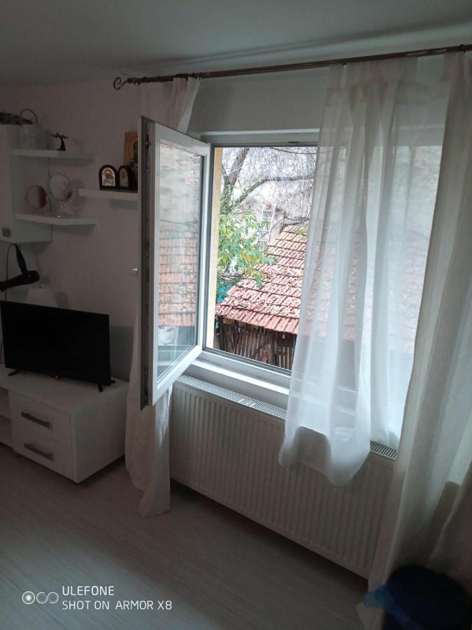 Apartament Cu Un Dormitor Spatios In Centrul 克卢日-纳波卡 外观 照片