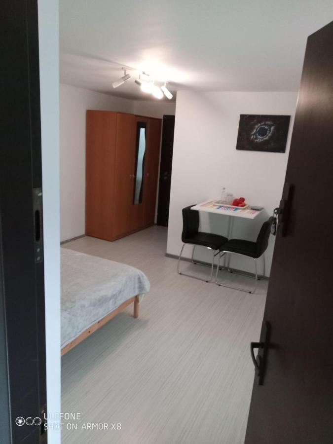 Apartament Cu Un Dormitor Spatios In Centrul 克卢日-纳波卡 外观 照片
