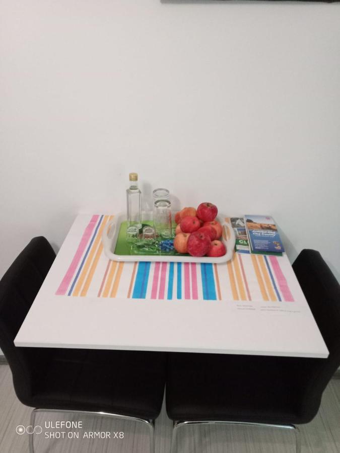 Apartament Cu Un Dormitor Spatios In Centrul 克卢日-纳波卡 外观 照片