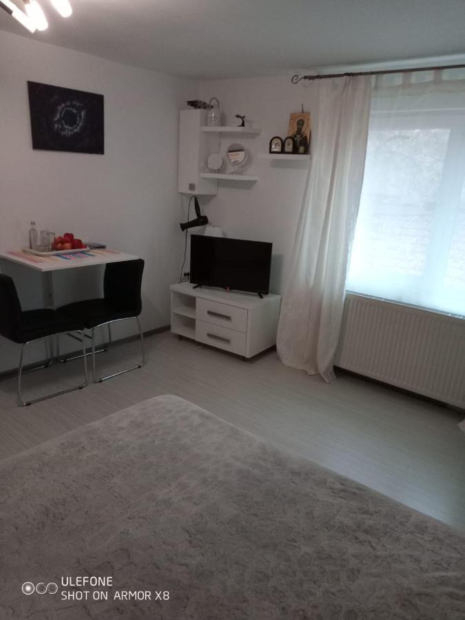 Apartament Cu Un Dormitor Spatios In Centrul 克卢日-纳波卡 外观 照片