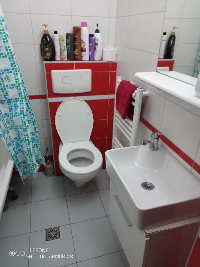 Apartament Cu Un Dormitor Spatios In Centrul 克卢日-纳波卡 外观 照片